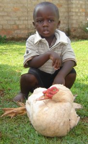 Cephas and Quackers, the duck (Cephas is a bit afraid of ducks!, but this picture was taken especially for our sweet nephew Andrew)