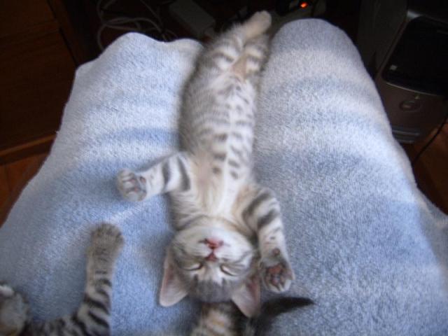 im-so-pooped im-so-pooped